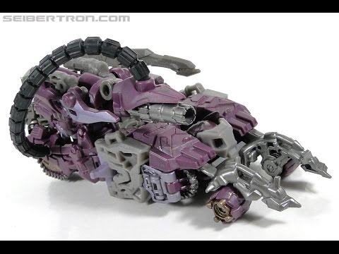 how to enable shockwave