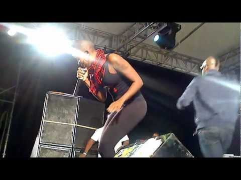 Bunji Garlin Fayann Lyons 2013 Differentology