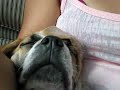 I Snore! I Snore!