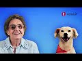 Gli sgami della Nonna, IL RITORNO - Alibi di tacchino
