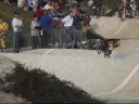 Pupilles et Benjamins finale A Besan�on Franche-Comt� 2008