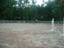 Jumping A Course on Shorty Jumping A Course on Shorty