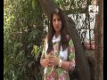 Yamla Pagla Deewana 2- Film Review