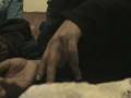videos de australian challa punjabi1