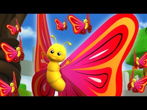 Schmetterlings lied auf Deutsch | Schmetterling, du kleines Ding | Kinderreime | Butterfly Song