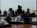 Dakar Travel Doc  Part 05