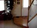 4635 Kiskadee Court, Colorado Springs, CO 80911