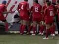 Baston rugby roumanie