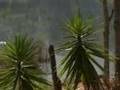 Documental San Jeronimo, Comayagua