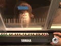 Freshwater Otter Plays Piano