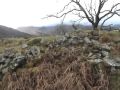 Dinas Emrys
