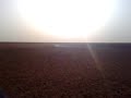 muzeeled Saluki chasing gazelle dont wory the gazelle is fineهدد سلق ياهو يطرح الظبي الي ما ينطرح بعد 2700 متربالكمامات