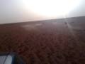 Saluki chasing Gazelle مهد أو هدد جديد لياهو يطرح الظبي سلق