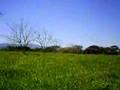 videos de Raw Zuvuya III Venue