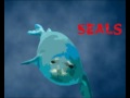 videos de Sea Life Animals