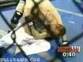 TKD vs. MMA