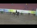 Modern Pentathlon Refusal to Jump!