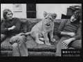 Gratitud animal