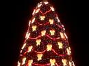 White House Christmas Tree #5