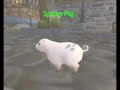 spider pig in world of warcraft