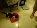 Oreo & Tang Yuan - Messing With Sweeping
