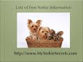 halloween-pet-photo-contest.html