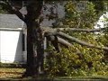 Winds bring down power lines Winds bring down power lines