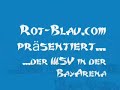 WSV in der BayArena