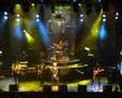 Citron rock 4 - Revizor