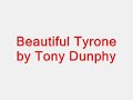 Beautiful Tyrone by Tony Dunphy