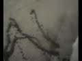 spit art