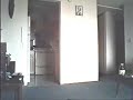 shadow creature