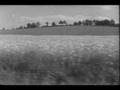 Carboon- Leef is mien land
