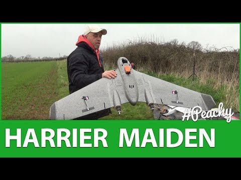 Reptile Harrier S1100 Maiden Flight & Overview