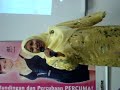 Usahawan Hai-O