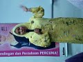 Usahawan Hai-O Usahawan Hai-O