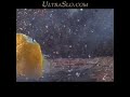This lemon blew up in front of our camera shooting 7000 FPS. So much for making lemonade from lemons. Kind of like the market. Yes we will break, bend or trash anything. Enjoy