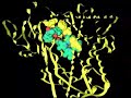 Inner Workings of Cytochrome P450 2C9 Warfarin