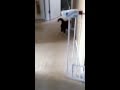 Dean, Zach & Alley - YouTube