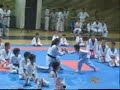 Kreshnik Ukiqi - Thyerje