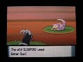 Shiny Slowpoke w/ Pokeradar PLUS SHINY PATCH