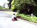 Kid goes into trees Kid goes into trees