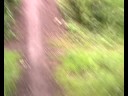 Jump Biking