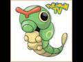 videos de Pokédex: Caterpie