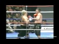 Mark Hunt K1 highlight K-1 WGP 2011 HD