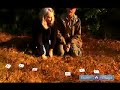 how-to-track-mammals-how-to-track-fishers.html
