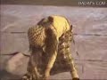 korean little girl street dance # 3