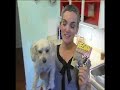 Sarah Kramer on A-Channel news