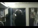 M-FAM IN DA BASEMENT SUMMER 2005 M-FAM IN DA BASEMENT SUMMER 2005
