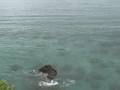 Snorkeling at Naze Point
